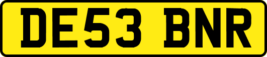 DE53BNR