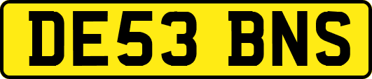 DE53BNS