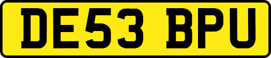 DE53BPU