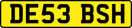 DE53BSH