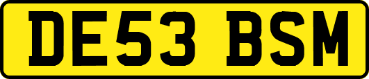 DE53BSM
