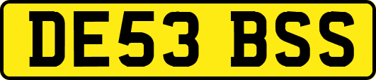 DE53BSS