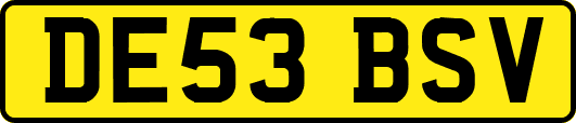 DE53BSV