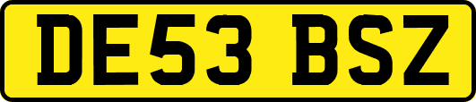 DE53BSZ