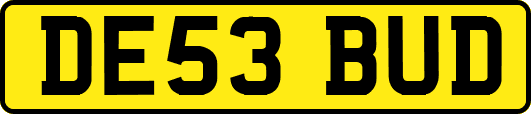 DE53BUD
