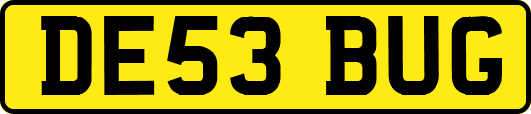 DE53BUG