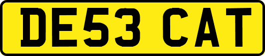 DE53CAT