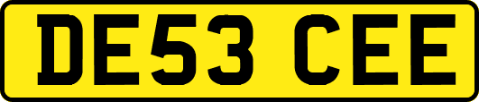 DE53CEE