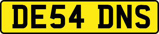 DE54DNS