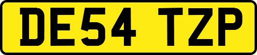 DE54TZP