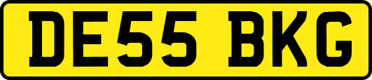 DE55BKG