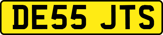 DE55JTS