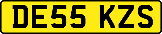 DE55KZS