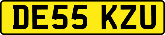 DE55KZU