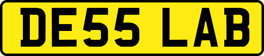 DE55LAB