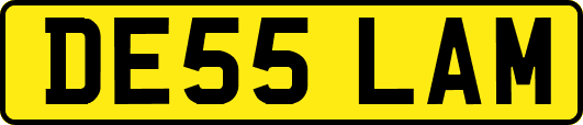 DE55LAM