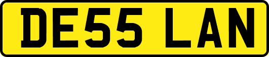 DE55LAN