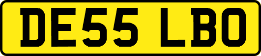 DE55LBO
