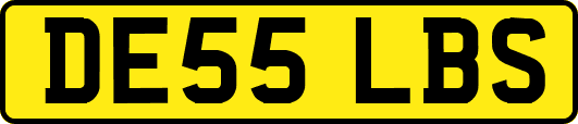 DE55LBS