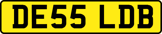 DE55LDB