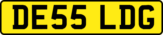 DE55LDG