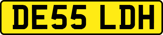 DE55LDH