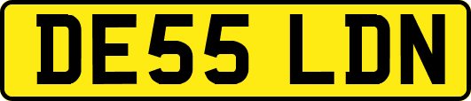 DE55LDN