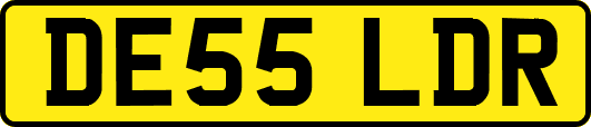 DE55LDR