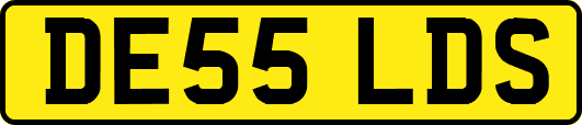 DE55LDS