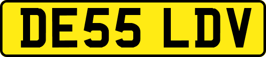 DE55LDV