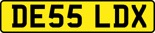 DE55LDX