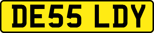 DE55LDY
