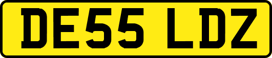 DE55LDZ