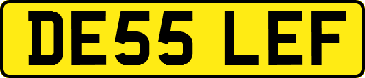 DE55LEF