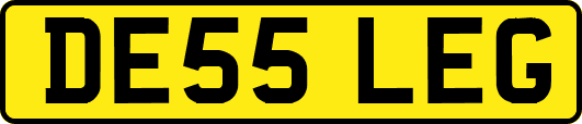 DE55LEG