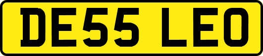 DE55LEO