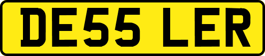 DE55LER