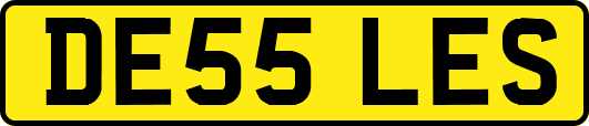 DE55LES