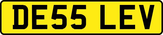 DE55LEV