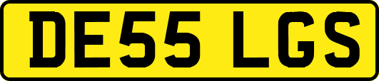 DE55LGS
