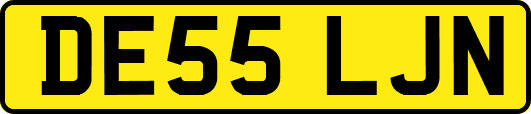 DE55LJN
