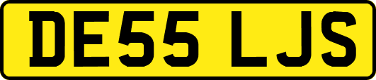 DE55LJS
