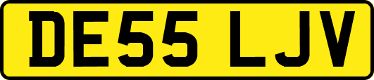 DE55LJV