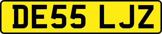 DE55LJZ