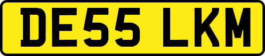 DE55LKM