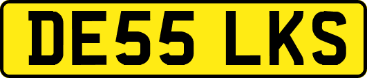 DE55LKS