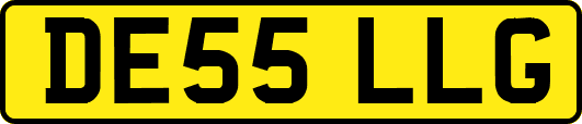 DE55LLG