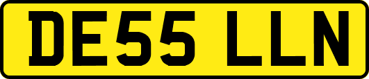 DE55LLN