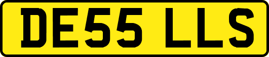 DE55LLS