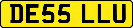 DE55LLU